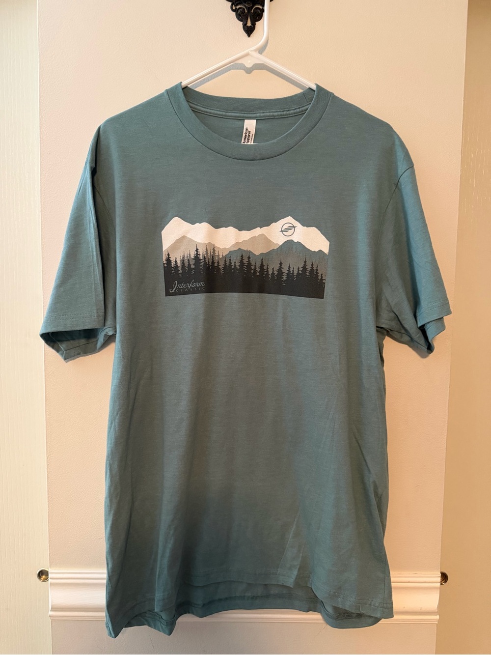 **NWOT American Apparel Mountain Graphic Tee